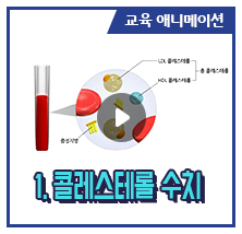 1. 콜레스트레롤 수치