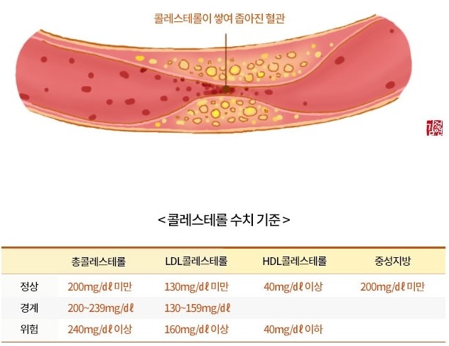 06_콜레스테롤수치는-무엇이고-적정수준은-어느-정도인가요.jpg